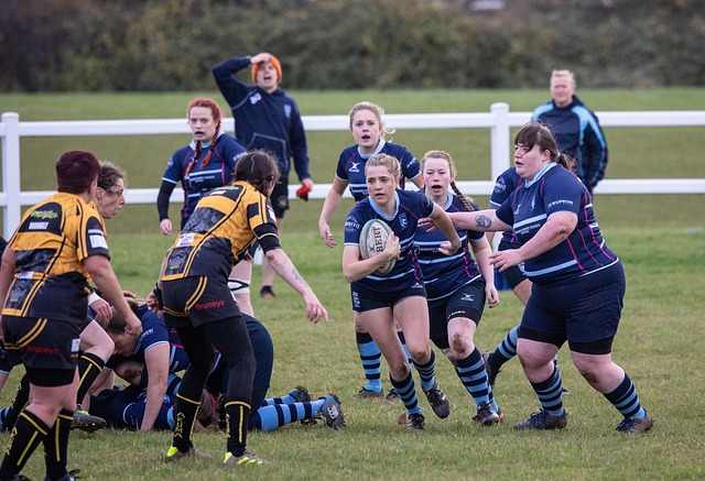 和篮球的距 和篮球的距