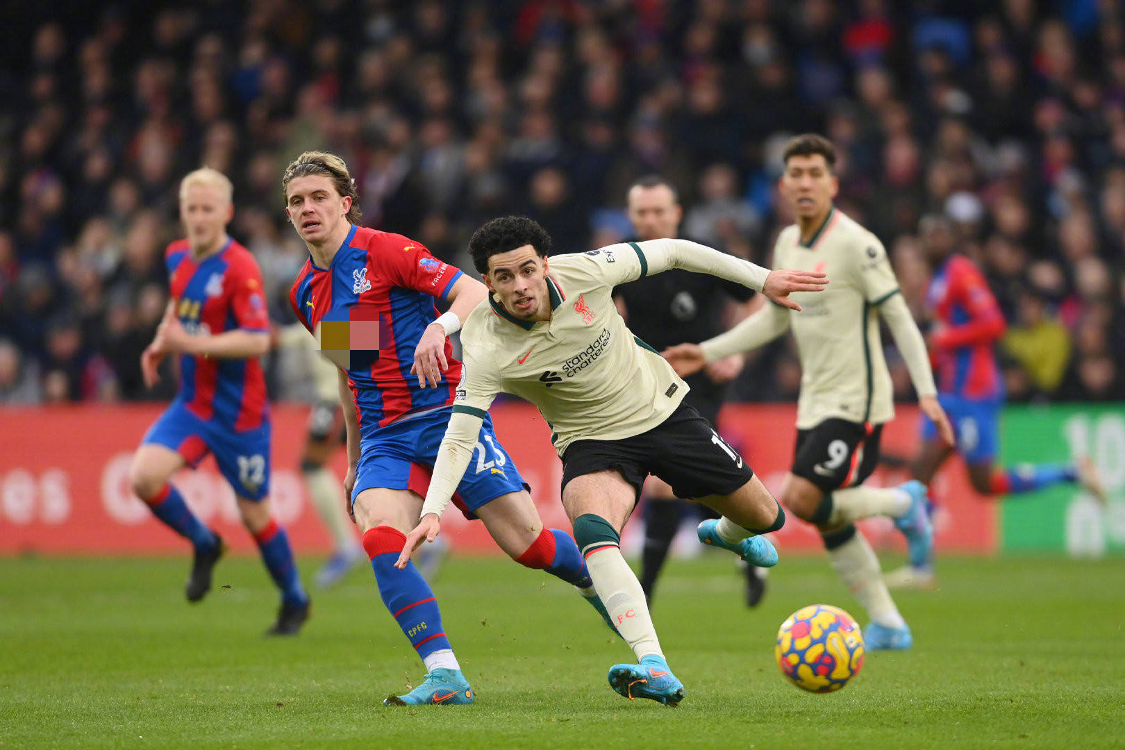 职业赛场上 职业赛场上