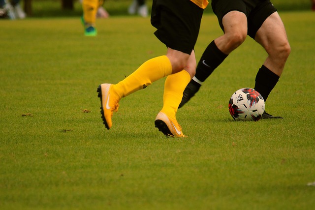 利性以及提 利性以及提